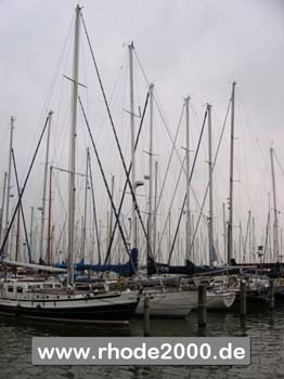 sail03