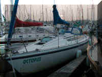 p009.jpg (45037 Byte)