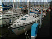 p020.jpg (42648 Byte)