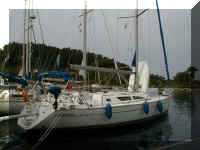 summerwind01.JPG (68658 Byte)