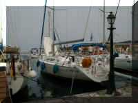 summerwind02.JPG (67730 Byte)