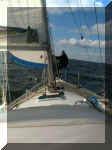 p04.jpg (39021 Byte)